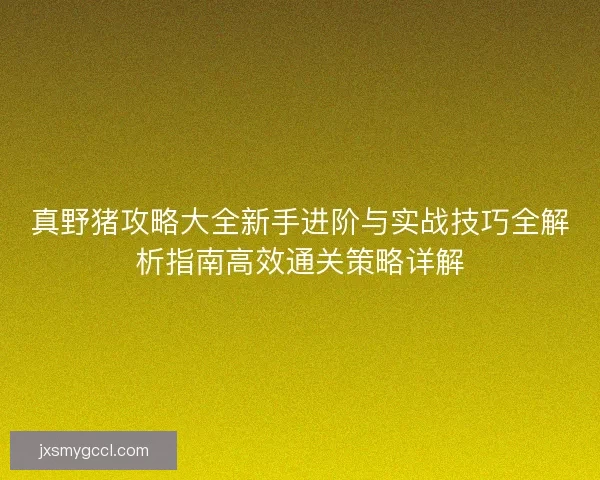 真野猪攻略大全新手进阶与实战技巧全解析指南高效通关策略详解